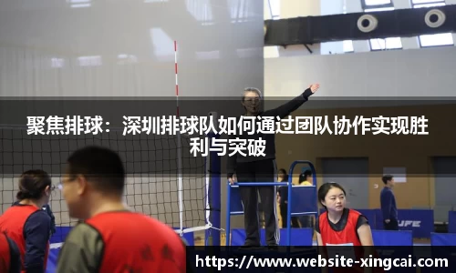 聚焦排球：深圳排球队如何通过团队协作实现胜利与突破