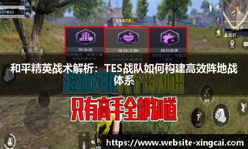 和平精英战术解析：TES战队如何构建高效阵地战体系